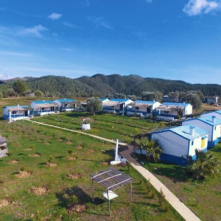 Ferma Jebala Ecolodge Kitane Εξωτερικό φωτογραφία
