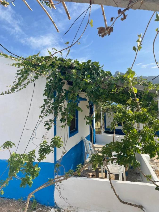 Ferma Jebala Ecolodge Kitane Εξωτερικό φωτογραφία