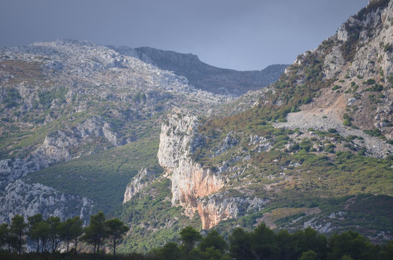 Ferma Jebala Ecolodge Kitane Εξωτερικό φωτογραφία