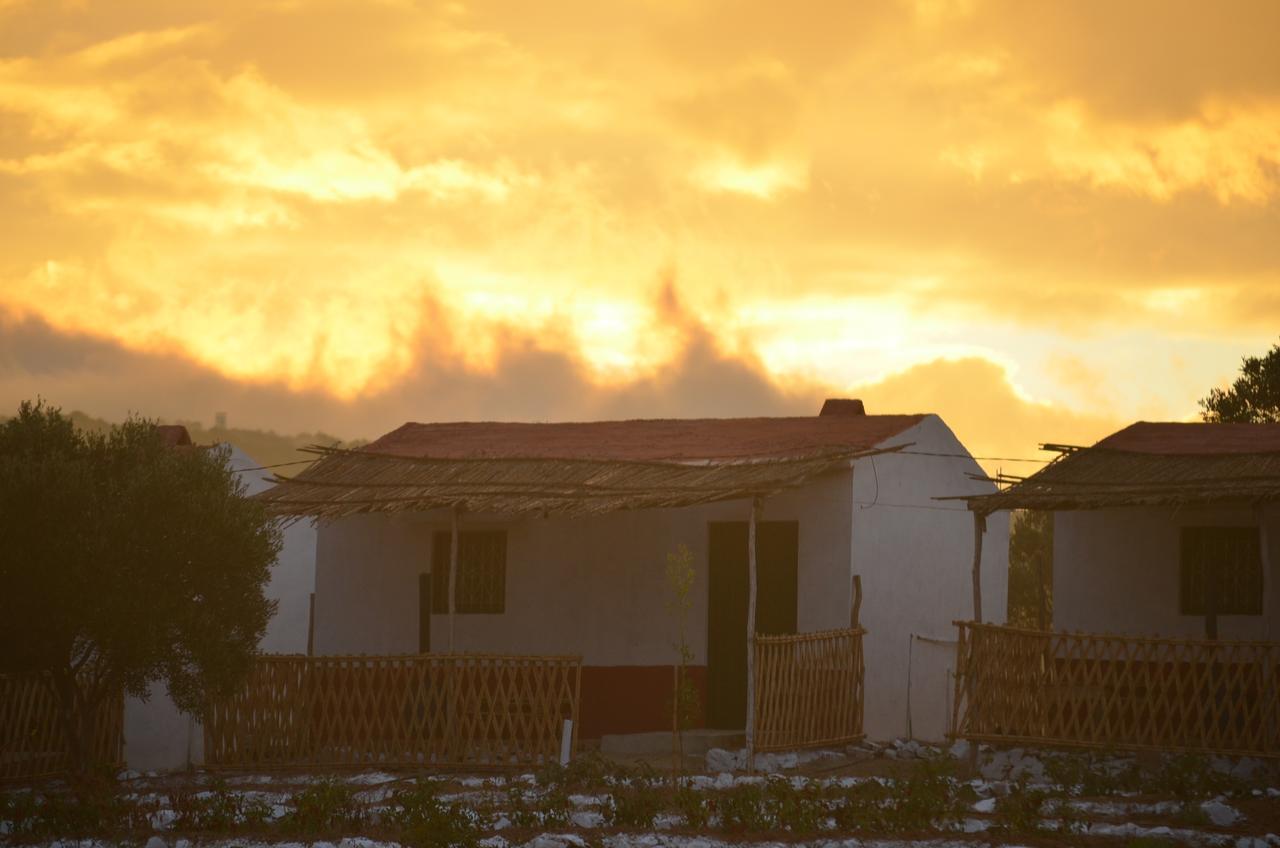 Ferma Jebala Ecolodge Kitane Εξωτερικό φωτογραφία