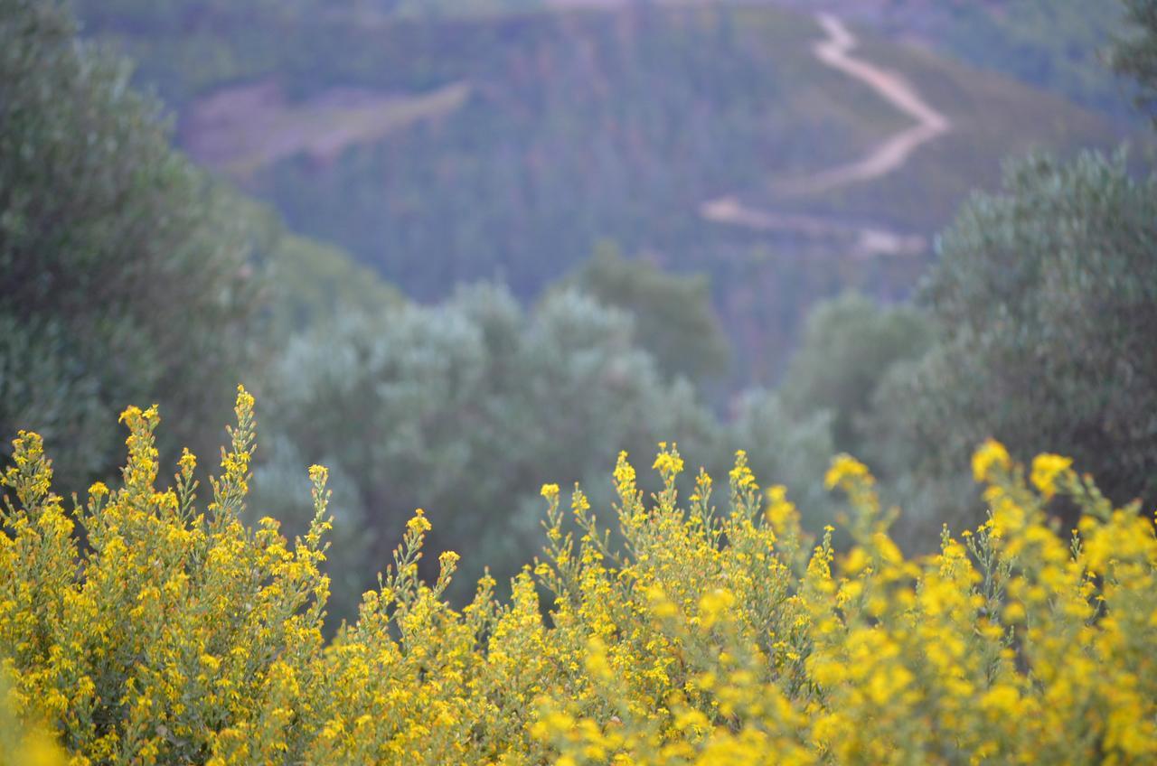 Ferma Jebala Ecolodge Kitane Εξωτερικό φωτογραφία