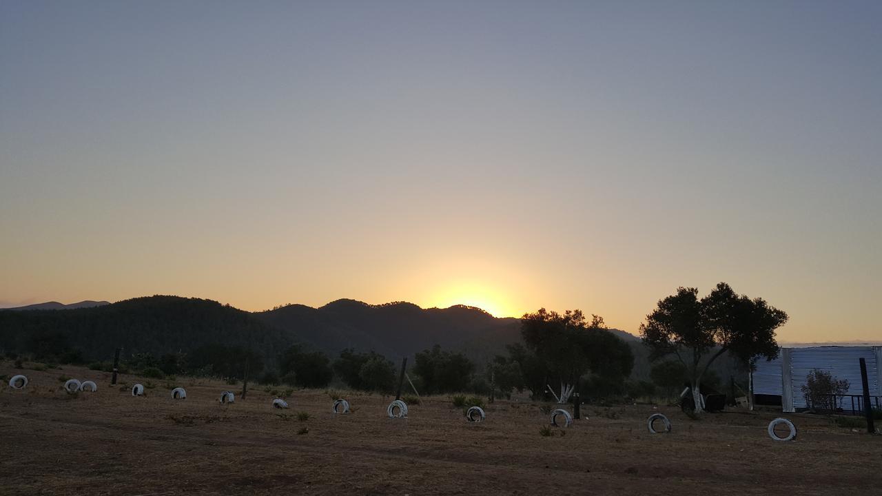 Ferma Jebala Ecolodge Kitane Εξωτερικό φωτογραφία