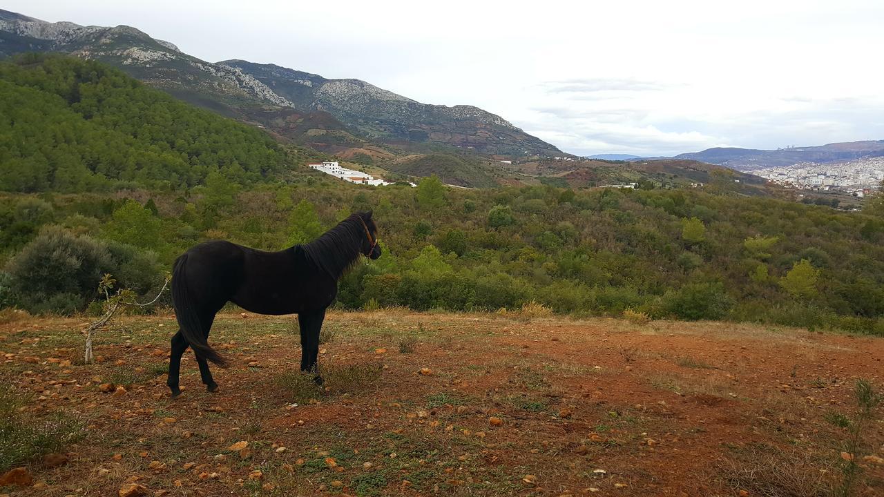 Ferma Jebala Ecolodge Kitane Εξωτερικό φωτογραφία