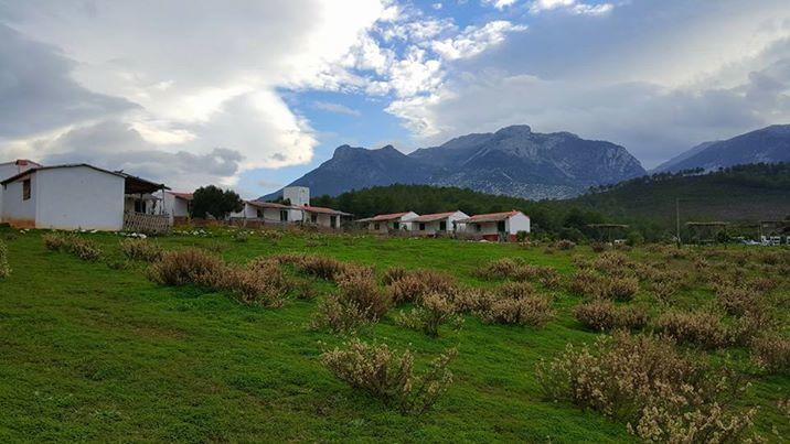 Ferma Jebala Ecolodge Kitane Εξωτερικό φωτογραφία