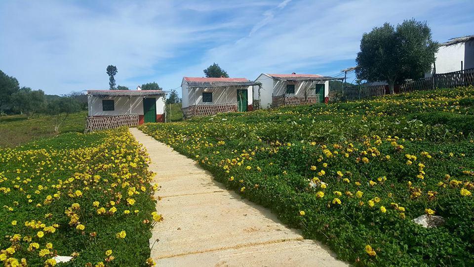 Ferma Jebala Ecolodge Kitane Εξωτερικό φωτογραφία