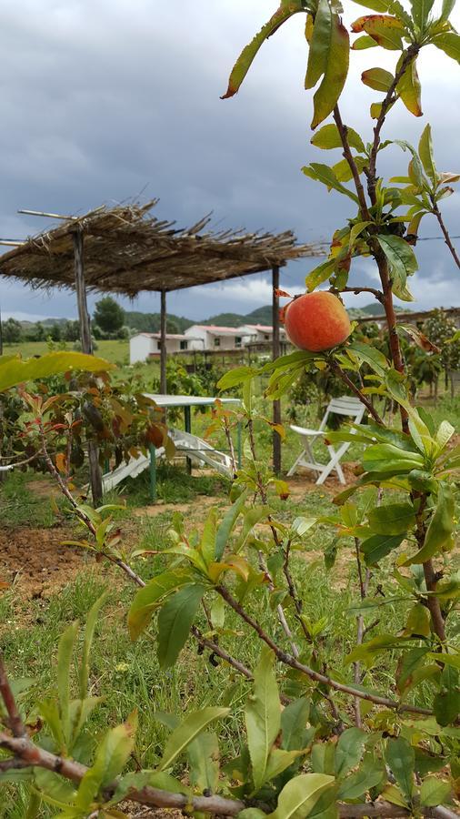 Ferma Jebala Ecolodge Kitane Εξωτερικό φωτογραφία