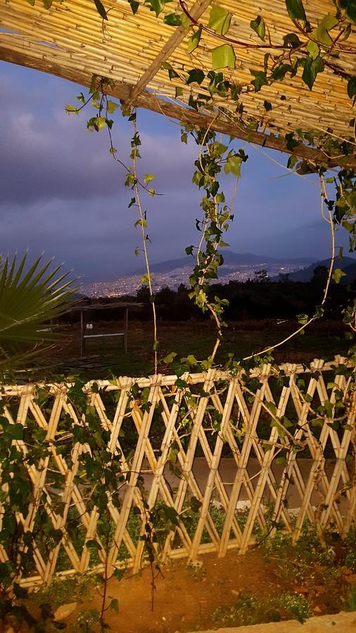 Ferma Jebala Ecolodge Kitane Εξωτερικό φωτογραφία
