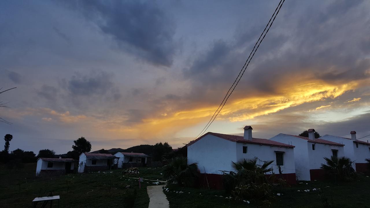 Ferma Jebala Ecolodge Kitane Δωμάτιο φωτογραφία