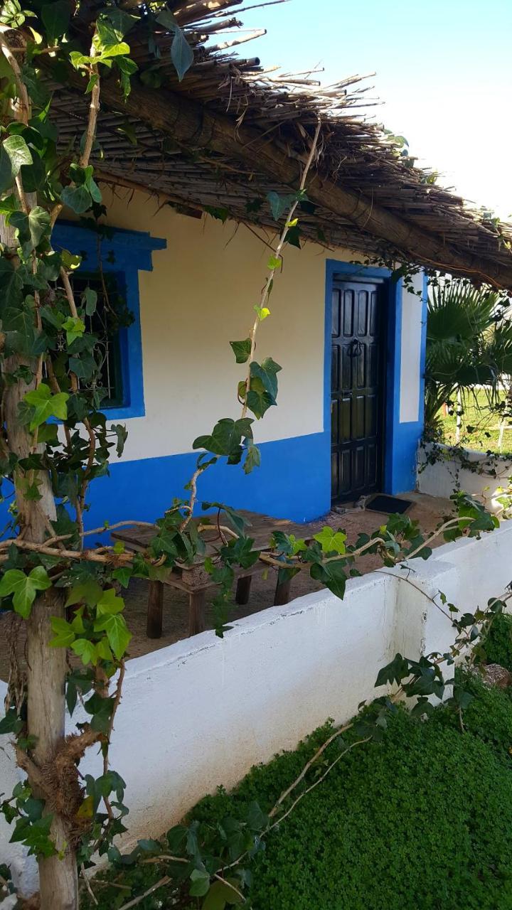Ferma Jebala Ecolodge Kitane Εξωτερικό φωτογραφία