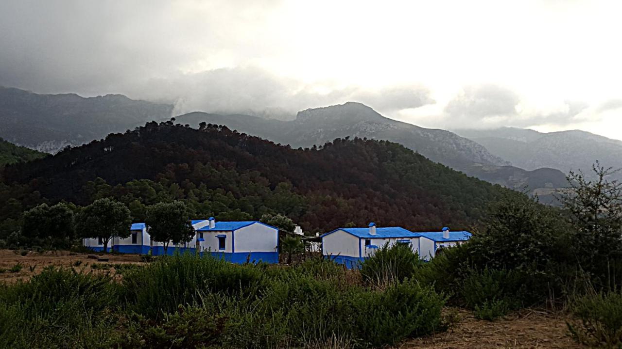 Ferma Jebala Ecolodge Kitane Εξωτερικό φωτογραφία
